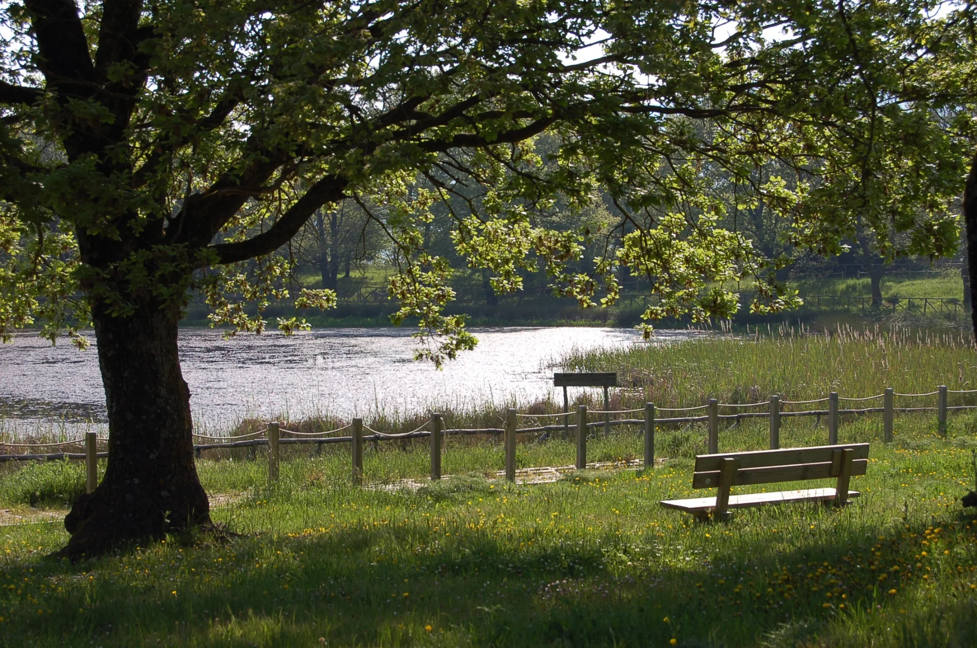 Paesaggio del Parco dei Nebrodi